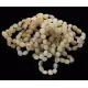 10 Raw Milk BEANS Baltic amber adult bracelets 19cm