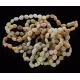 10 Raw Milk BEANS Baltic amber adult bracelets 19cm