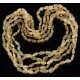 5 Raw Honey BEANS Baltic amber adult necklaces 55cm