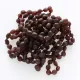 10 Raw Ruby BEANS Baltic amber adult bracelets 19cm