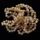 10 Raw Big Butter BAROQUE Baltic amber teething bracelets 14cm