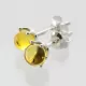 Fossil Studs Baltic amber Silver Earrings