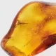 Gnat Insect in Baltic Amber Fossil Specimen