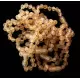 10 Raw Honey BAROQUE Baltic amber teething bracelets 15cm