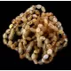10 Mix BEANS Baltic amber teething Baby bracelets 14cm