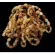 10 Mix BEANS Baltic amber teething Baby bracelets 14cm