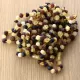 10 Raw Multi Baltic Amber Anklets 25cm