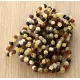 10 Raw Multi Baltic Amber Anklets 25cm