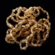 10 Raw Honey BEANS Baltic amber teething bracelets 14cm
