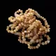 10 Raw Butter BAROQUE Baltic amber teething bracelets 14cm