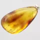 Baltic amber silver pendant w insect inclusion