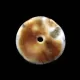 Donut shape Baltic amber pendant medallion