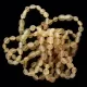 10 Raw Honey BEANS Baltic amber teething bracelets 14cm