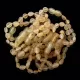 10 Raw Honey BEANS Baltic amber teething bracelets 14cm