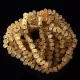 10 Raw Honey Baltic Amber Anklets 25cm