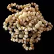 10 Raw Butter BAROQUE Baltic amber teething bracelets 14cm
