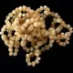 10 Raw Butter BAROQUE Baltic amber teething bracelets 14cm