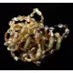 10 Mix BEANS Baltic amber teething Baby bracelets 14cm