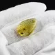 Fossil Insect Baltic Amber Pendant