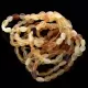 10 Raw Mix BEANS Baltic amber stretch bracelet 19cm