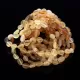 10 Raw Mix BEANS Baltic amber adult bracelets 21cm