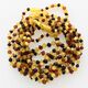 10 Raw Multi BAROQUE Baltic amber teething necklaces 28cm