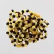 10 Big Multi BAROQUE Baltic amber teething bracelets 14cm