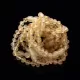 10 Raw Lemon BAROQUE Baltic amber teething bracelets 14cm