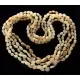 5 Milk BEANS Baltic amber adult necklaces 65cm