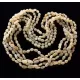 5 Raw Milk BEANS Baltic amber adult necklaces 65cm
