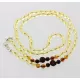 Eyeglasses Sunglasses Baltic amber Holder