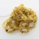 10 Raw Green Stretch BAROQUE Baltic amber adult bracelets 19cm