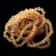 10 Raw Honey BAROQUE Baltic amber adult stretch bracelets 19cm