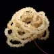 10 Raw Lemon BAROQUE Baltic amber adult stretch bracelets 19cm