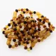 10 Raw Multi BAROQUE teething Baltic amber bracelets 14cm