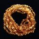 10 Raw Multi CHIPS Baltic amber teething ecklaces 32cm