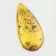 Diptera Insect in Baltic Amber Fossil Specimen