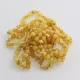 10 Unpolished BAROQUE Baby teething Baltic amber bracelets 14cm