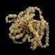 10 Milky BAROQUE Baltic amber teething bracelets 14cm