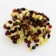 10 Multi BEANS Baltic amber teething Baby bracelets 14cm