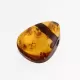 Natural Baltic Amber Hole Pendant 2g
