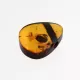 Natural Baltic Amber Hole Pendant 1.6g