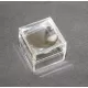 Small magnifying box for fossil stones