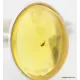 Baltic amber silver ring w fossil insect inclusion