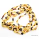 5 Multi BEANS Baltic amber adult wholesale necklaces