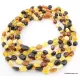 6 Multi larger BEANS Baltic amber adult wholesale necklaces