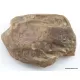 Massive genuine Baltic amber fossil stone 132g