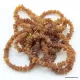 10 Cognac Raw NUGGETS Baltic amber adult strech bracelets